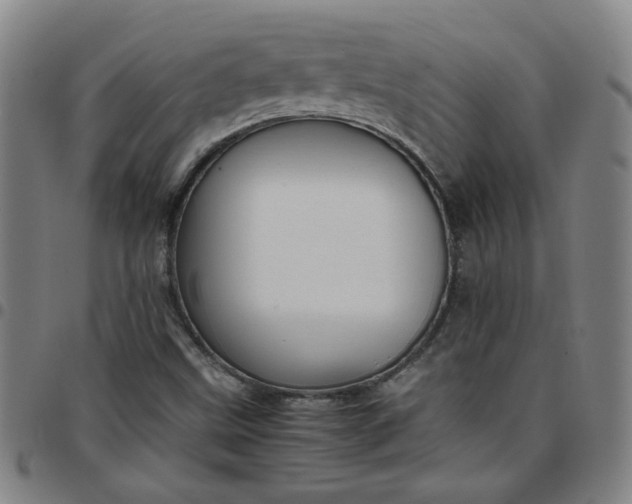 X0000097481499200803071704