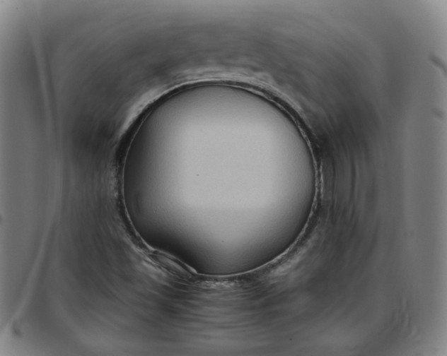 X0000097481501200803071704