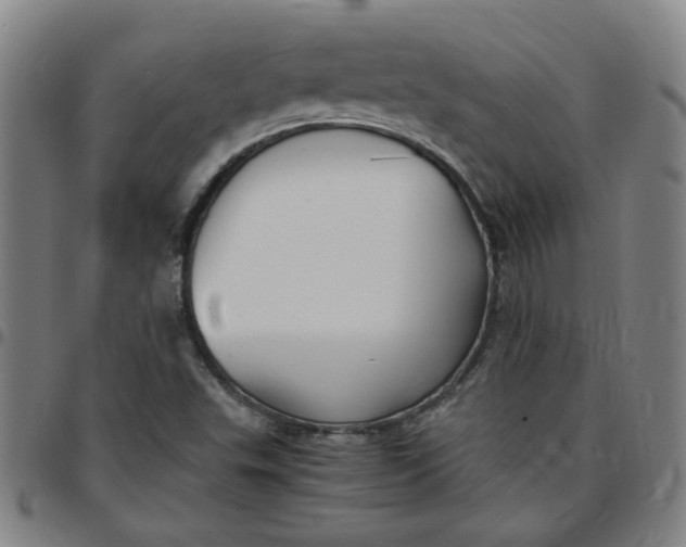 X0000097481503200803071704