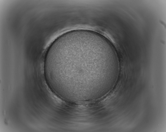 X0000097481504200803071704