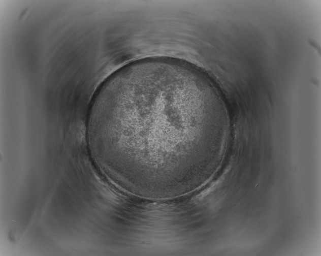 X0000097481505200803071704