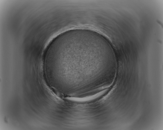 X0000097481506200803071704