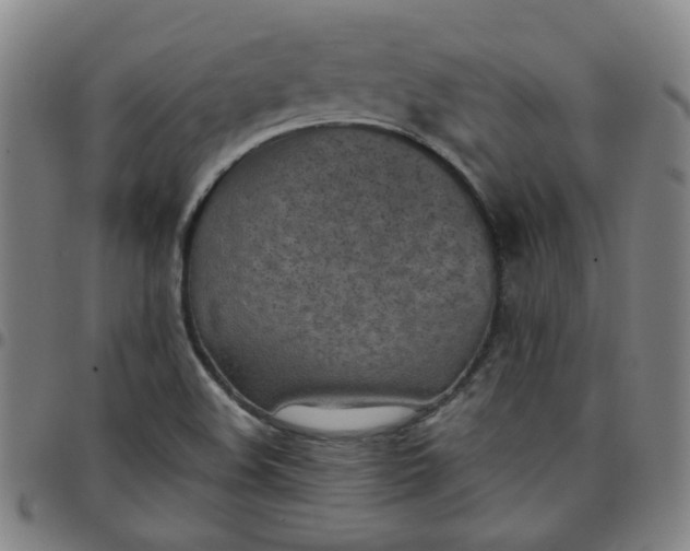 X0000097481508200803071704