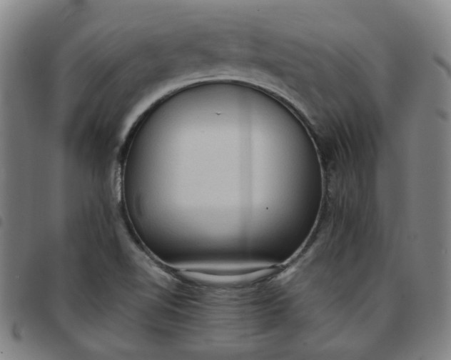 X0000097481510200803071704