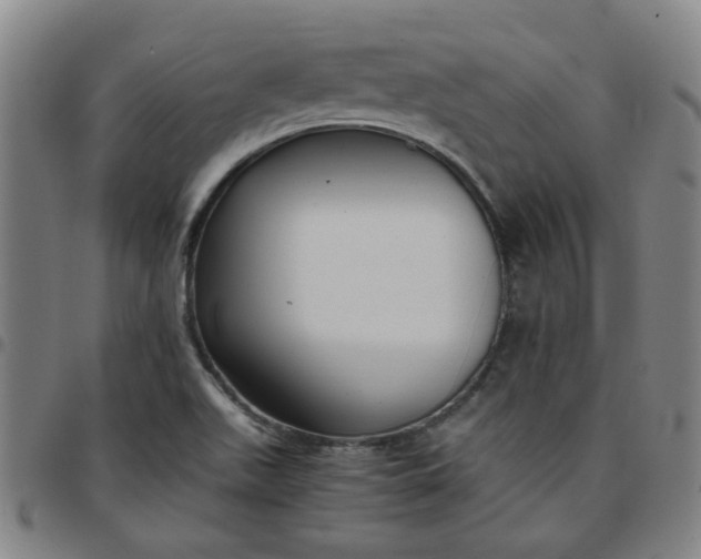 X0000097481511200803071704