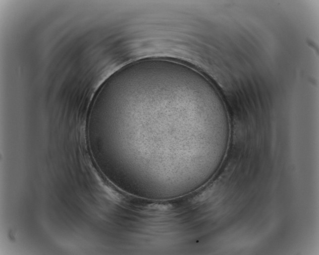 X0000097481513200803071704