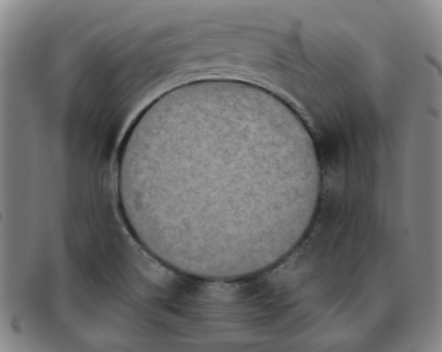 X0000097481514200803071704