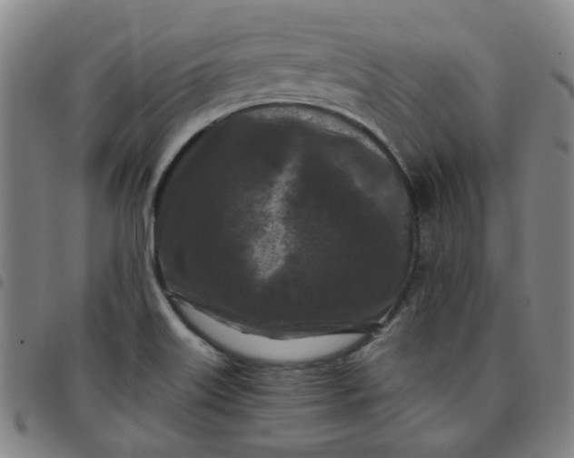 X0000097481515200803071704