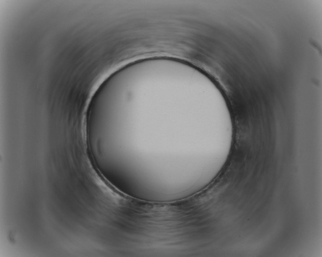 X0000097481516200803071704