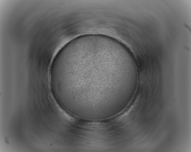 X0000097481517200803071704