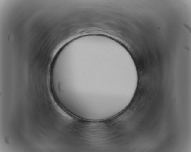 X0000097481518200803071704