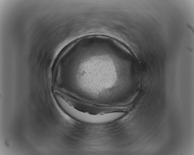 X0000097481519200803071705