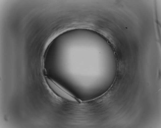 X0000097481520200803071705