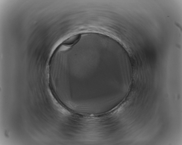 X0000097481522200803071705