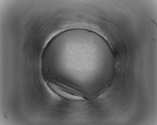 X0000097481523200803071705