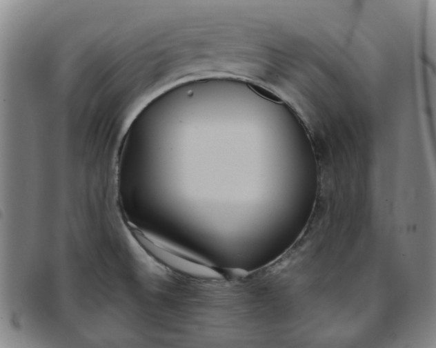 X0000097481524200803071705