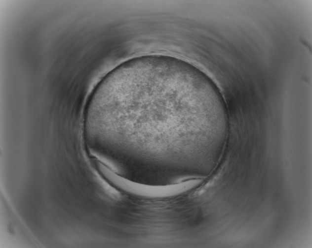 X0000097481525200803071705