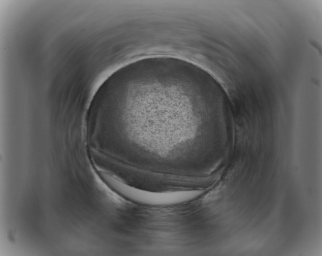 X0000097481527200803071705