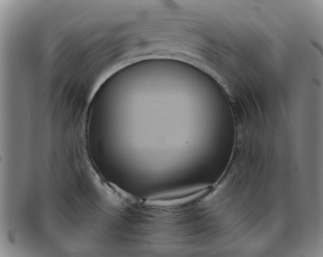 X0000097481530200803071705