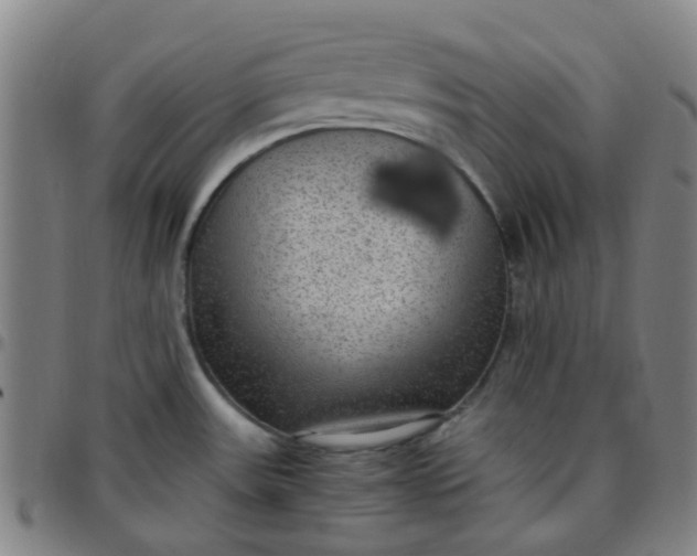 X0000097481531200803071705