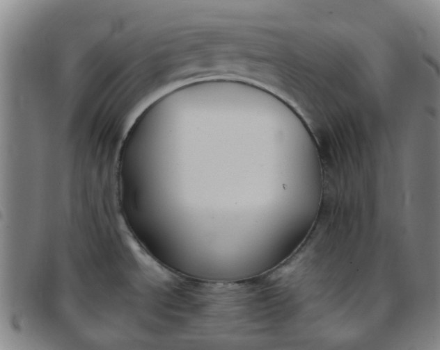 X0000097481534200803071705