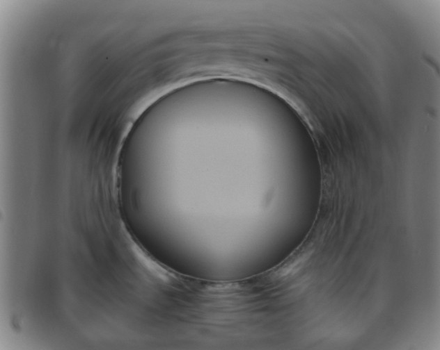 X0000097481535200803071705