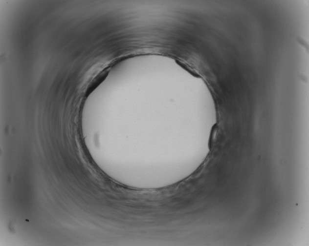 X0000097480001200803141945