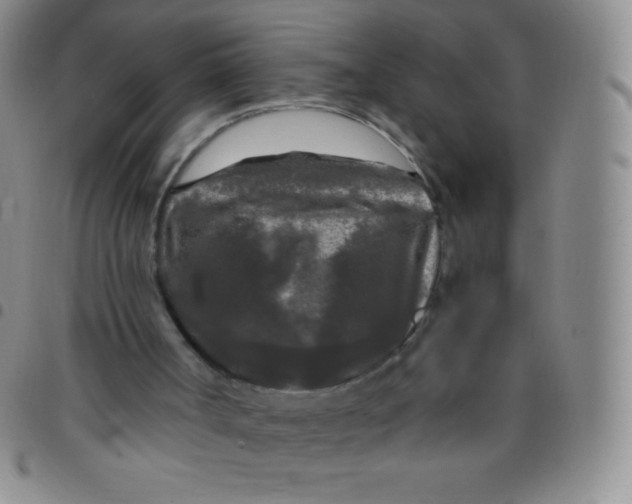 X0000097480002200803141945