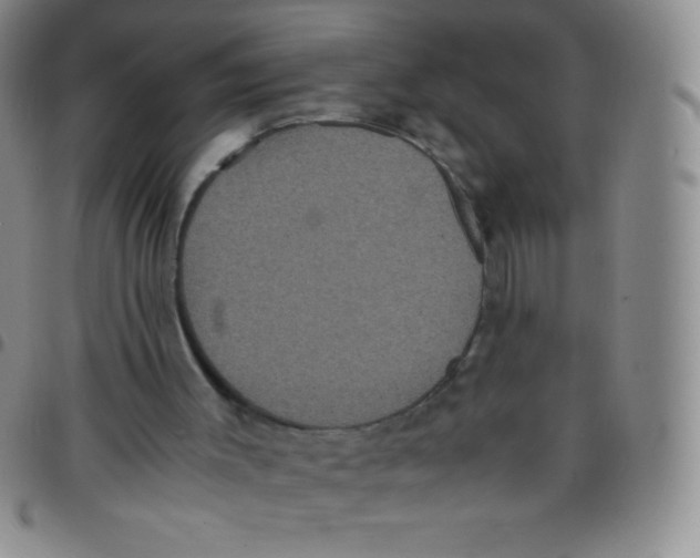 X0000097480003200803141945