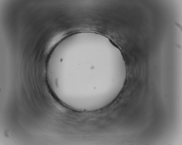 X0000097480005200803141945