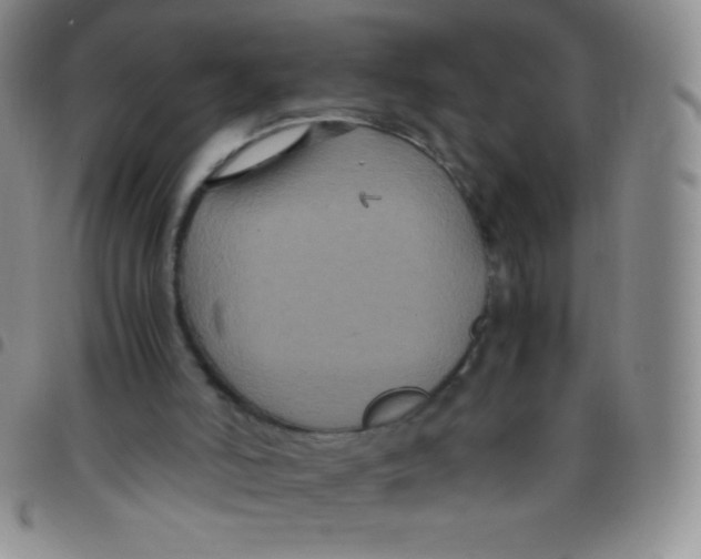 X0000097480006200803141945