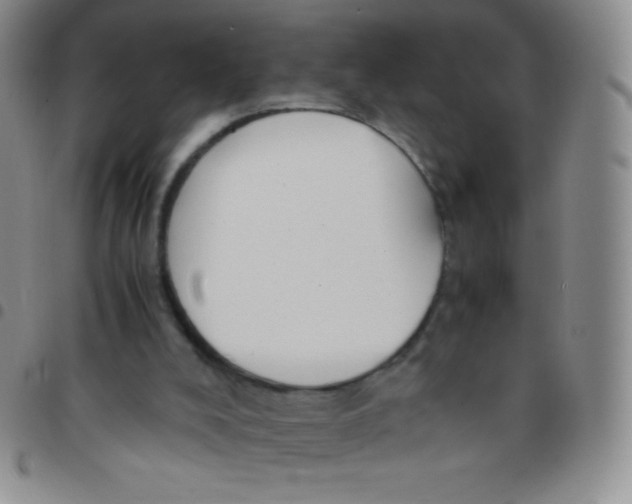 X0000097480008200803141945