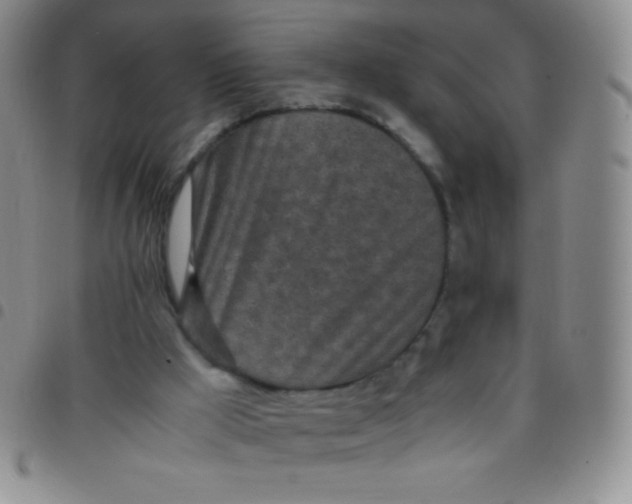 X0000097480009200803141945