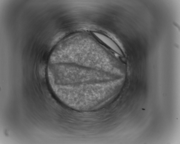 X0000097480010200803141945