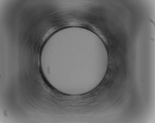 X0000097480011200803141945