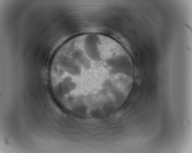 X0000097480012200803141945