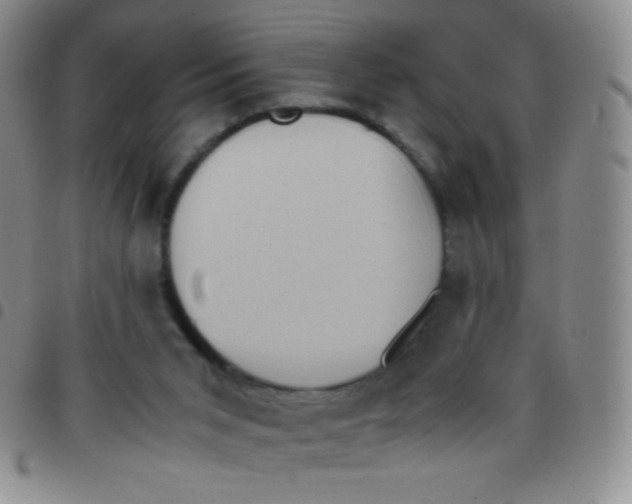 X0000097480015200803141945