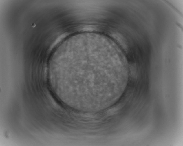 X0000097480016200803141945