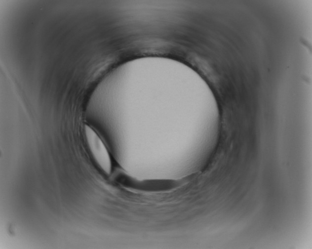 X0000097480017200803141945