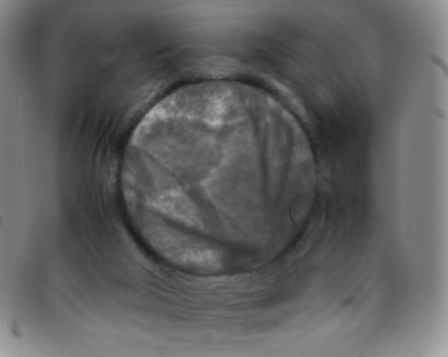 X0000097480018200803141945