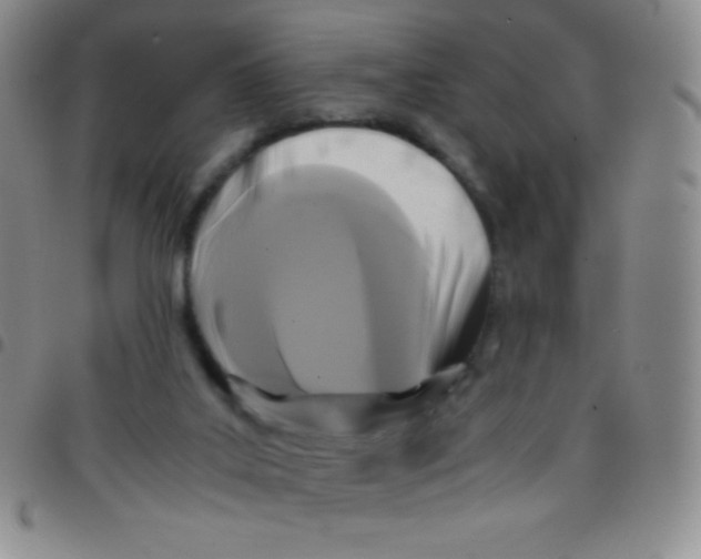 X0000097480019200803141945