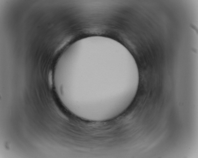 X0000097480020200803141945