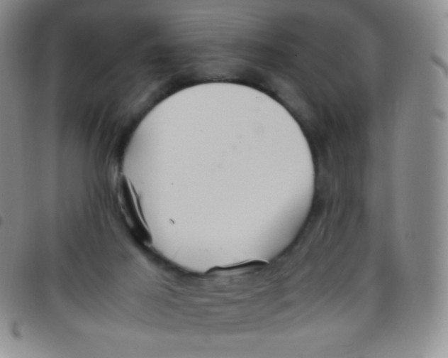 X0000097480021200803141945