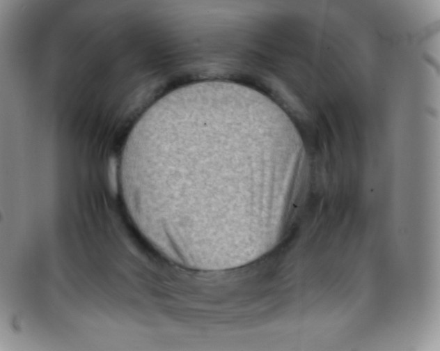 X0000097480022200803141945