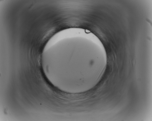 X0000097480023200803141945