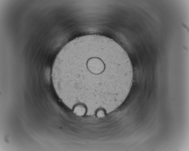 X0000097480024200803141945