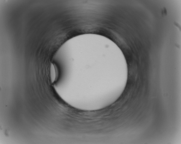 X0000097480025200803141945