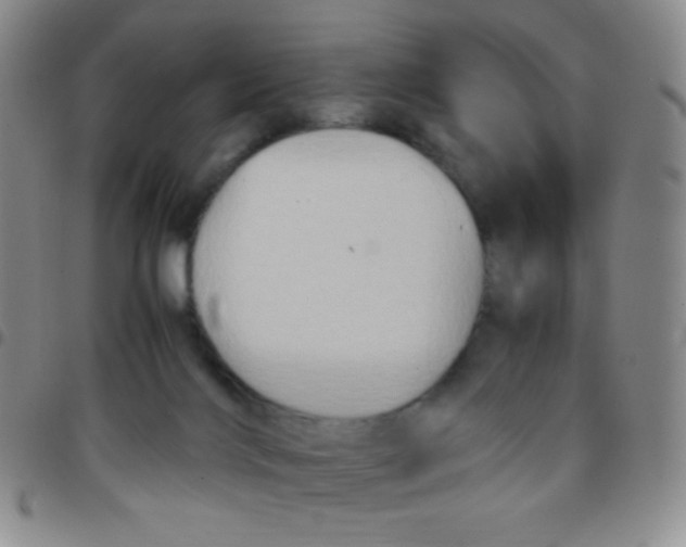 X0000097480028200803141945