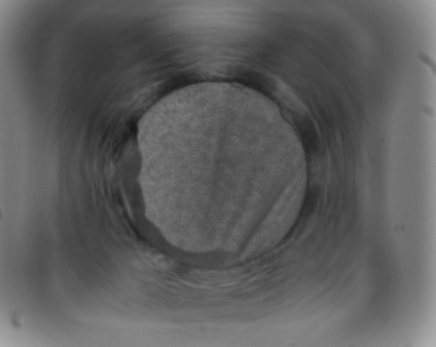 X0000097480029200803141945