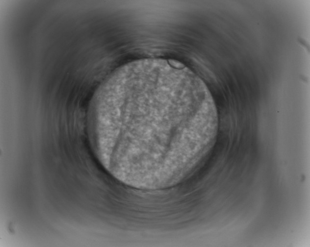 X0000097480030200803141945